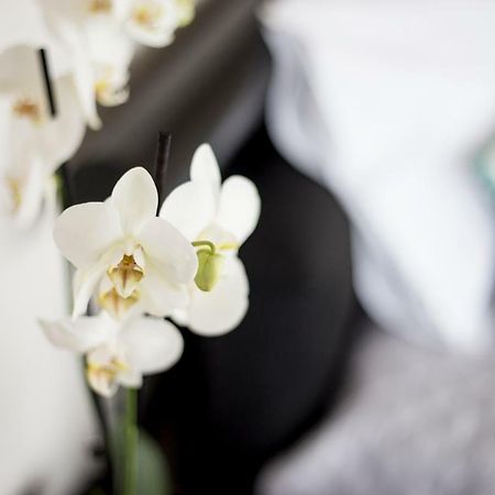 빌다도콘데 "Sea View"Loft 아파트 외부 사진